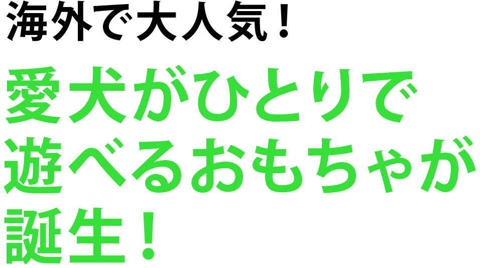 海外で大人気！愛犬がひとりで遊べるおもちゃが誕生！